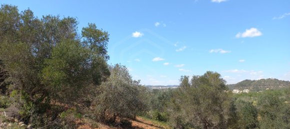 12480m² Land in Faro, Portugal No. 58769 27