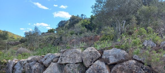 12480m² Land in Faro, Portugal No. 58769 15