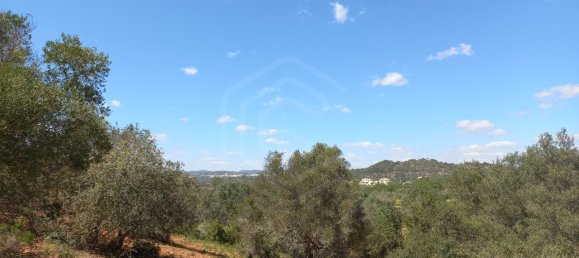 12480m² Land in Faro, Portugal No. 58769 26