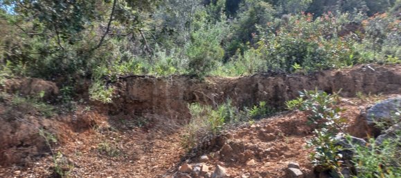 12480m² Land in Faro, Portugal No. 58769 14