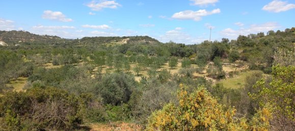 12480m² Land in Faro, Portugal No. 58769 8