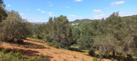 12480m² Land in Faro, Portugal No. 58769 23