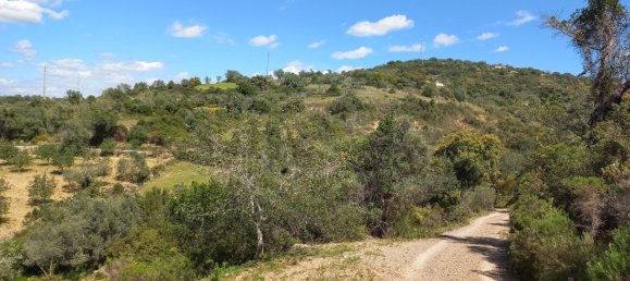 12480m² Land in Faro, Portugal No. 58769 33