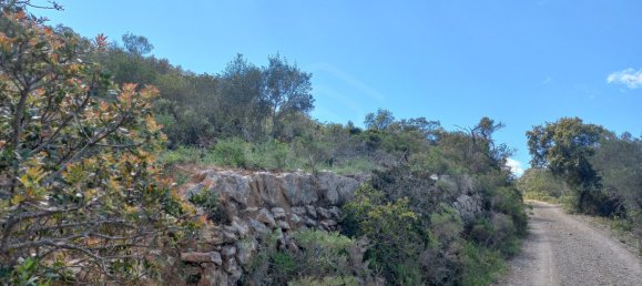 12480m² Land in Faro, Portugal No. 58769 4