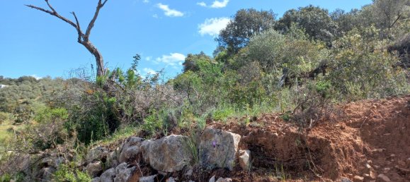 12480m² Land in Faro, Portugal No. 58769 11