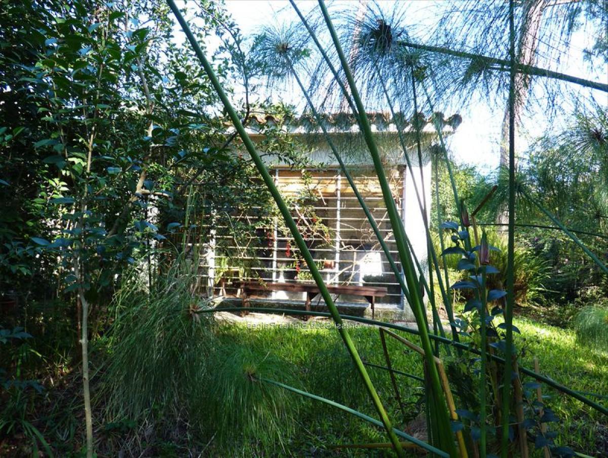 Studio in Canelones, Uruguay No. 2988