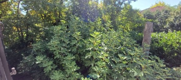 7 bedrooms Villa in Carpi, Italy No. 372788 21