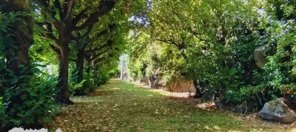 4 bedrooms Castles in Chadrac, France No. 208195 21