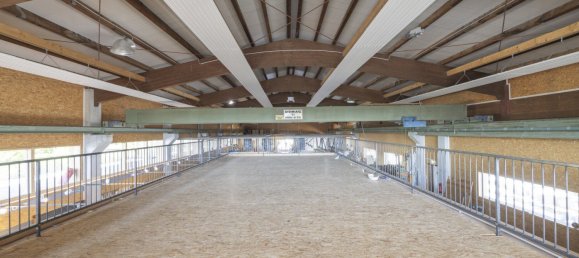 2474m² Office in Palting, Austria No. 213901 20