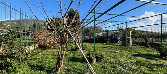 7 rooms Villa in Chiavari, Italy No. 112764 27