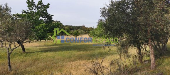  قطعة أرض في Idanha a Nova, Portugal 50متر مربع رقم 82808 23