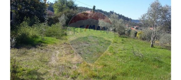 2580m² Land in Pombeiro da Beira, Portugal No. 76320 8