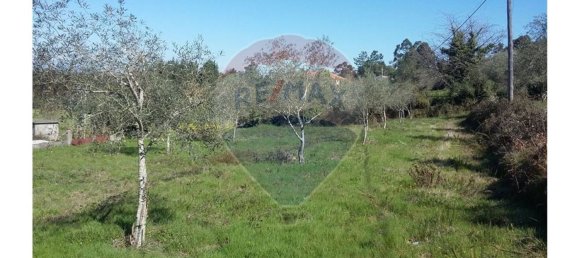 2580m² Land in Pombeiro da Beira, Portugal No. 76320 4