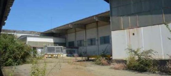 Almacén en San Carlo Canavese, Italy 25360 m² No. 290401 14