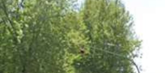 Almacén en San Carlo Canavese, Italy 25360 m² No. 290401 21