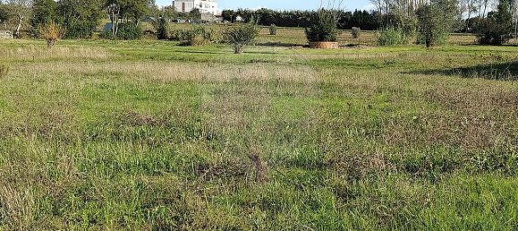 Casa T2 em Seixo de Gatões, Portugal N.º 32184 21