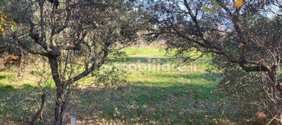 1240m² Land in Rosciano, Italy No. 87268 10