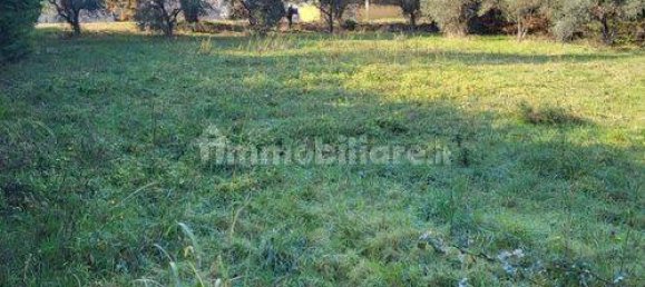 1240m² Land in Rosciano, Italy No. 87268 6