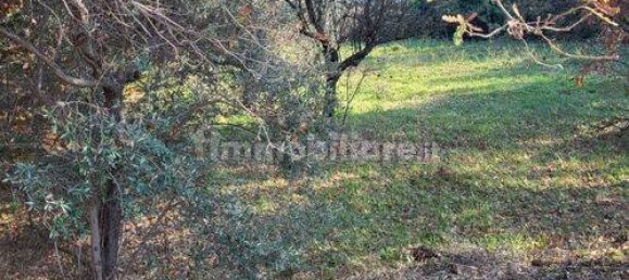 1240m² Land in Rosciano, Italy No. 87268 9