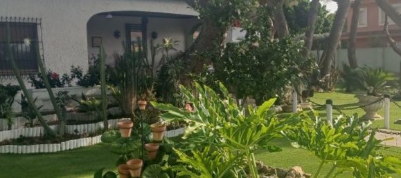 3 Schlafzimmer Villa in Dehesa De Campoamor, Spain, Nr. 184786 33