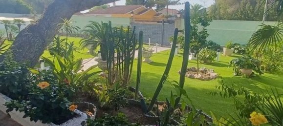 3 Schlafzimmer Villa in Dehesa De Campoamor, Spain, Nr. 184786 34