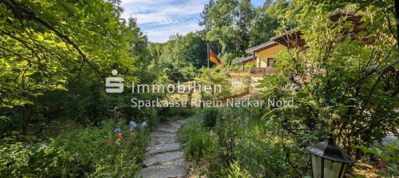 7غرفة منزل في Bergstrase, Germany رقم 313576 39