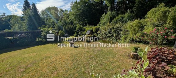 7غرفة منزل في Bergstrase, Germany رقم 313576 14