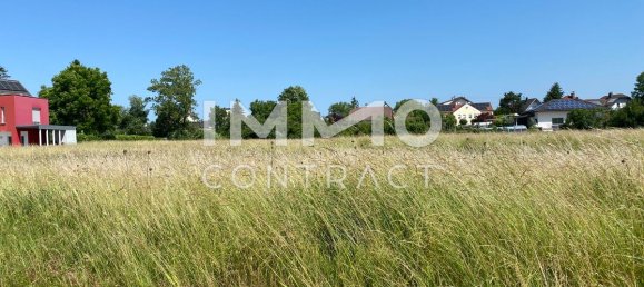 Terrain à Marchtrenk, Austria No. 129868 5