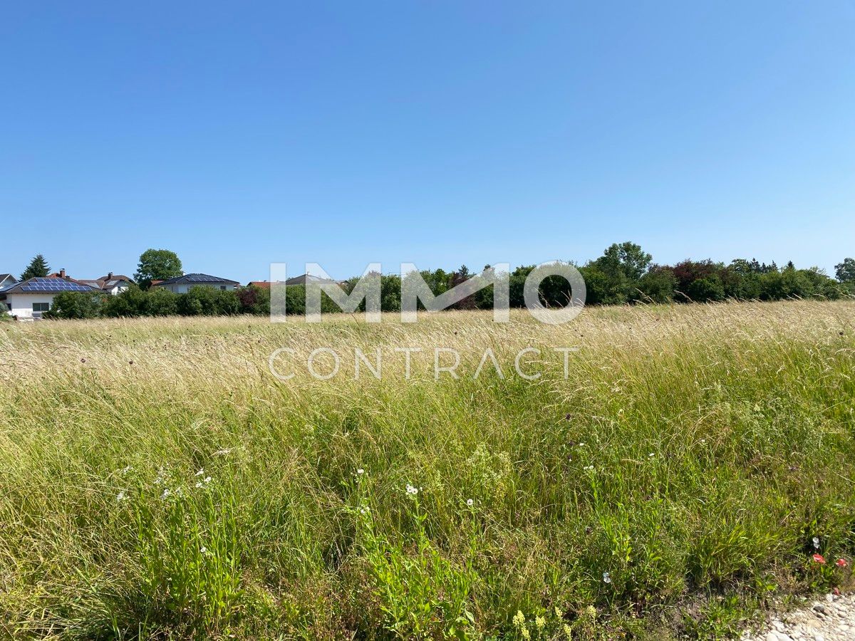 Terrain à Marchtrenk, Austria No. 129868