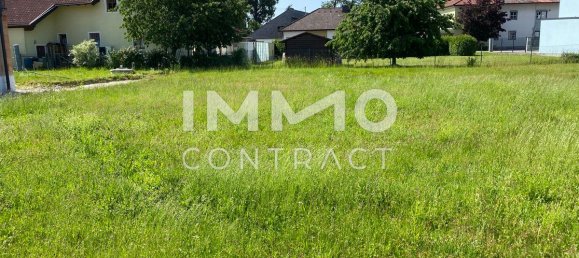 Terrain à Marchtrenk, Austria No. 129868 4