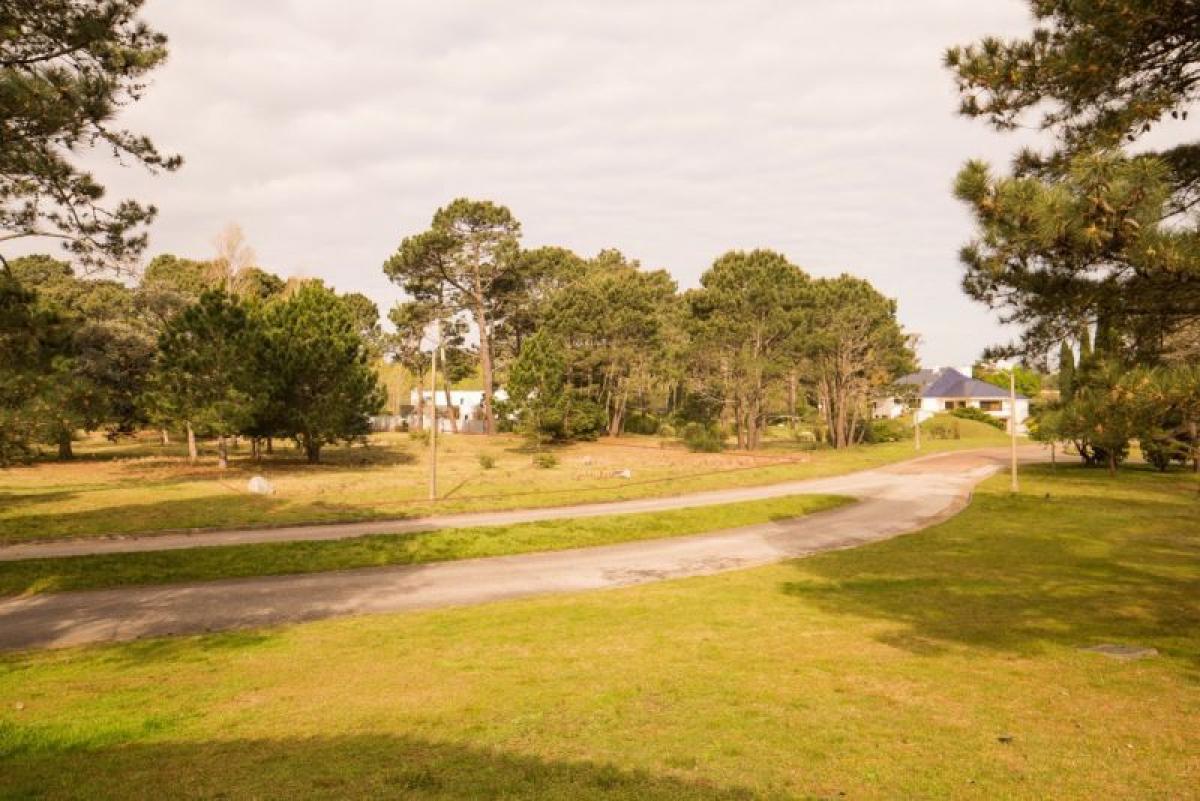 Terrain à Maldonado, Uruguay No. 14596