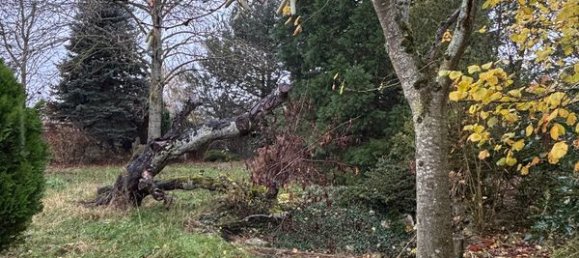 Terreno em Saint-Jean-de-Braye, France 1265 m² N.º 40980 5