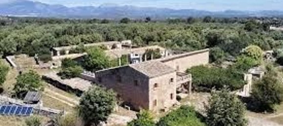 Grundstück in Sineu, Spain, Nr. 157016 44