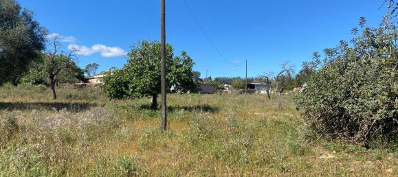 Grundstück in Sineu, Spain, Nr. 157016 13