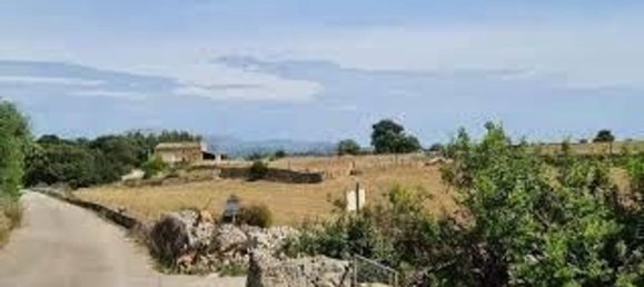 Grundstück in Sineu, Spain, Nr. 157016 11