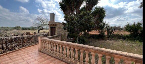 Grundstück in Sineu, Spain, Nr. 157016 24