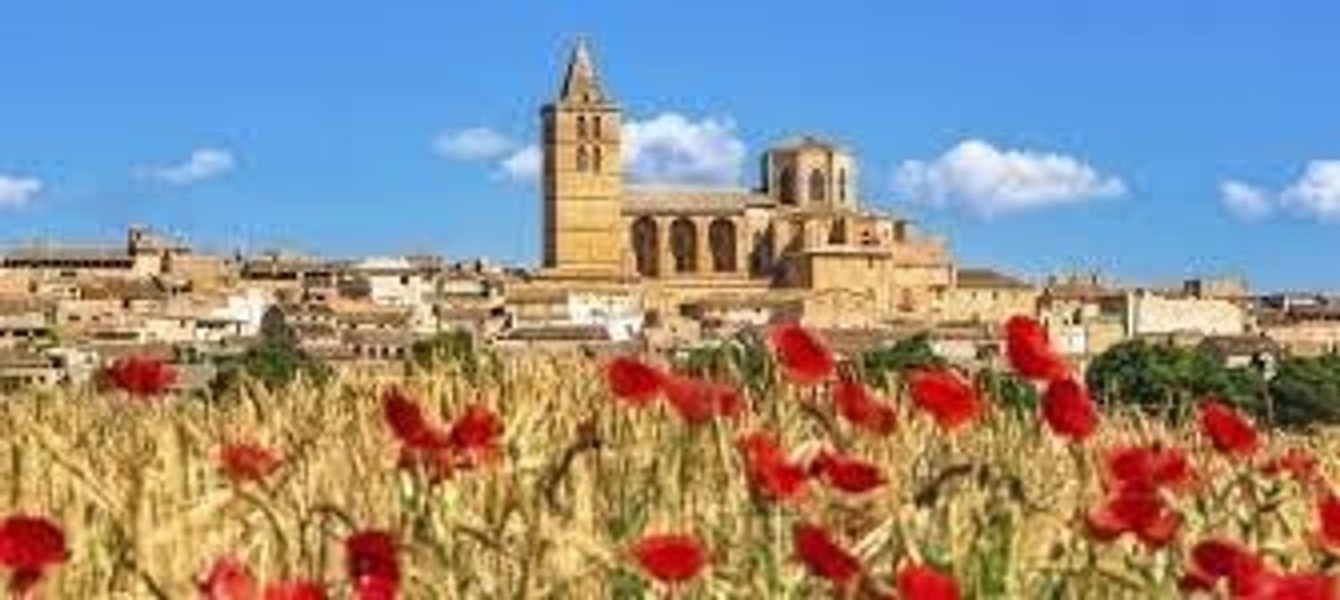 Grundstück in Sineu, Spain, Nr. 157016