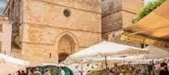 Grundstück in Sineu, Spain, Nr. 157016 19