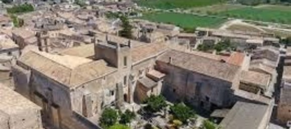 Grundstück in Sineu, Spain, Nr. 157016 21