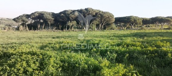 5296m² Land in Sintra, Portugal No. 66860 6