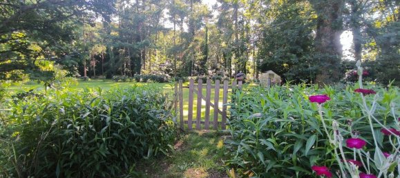 5 chambres Maison à Guimaëc, France No. 204244 15