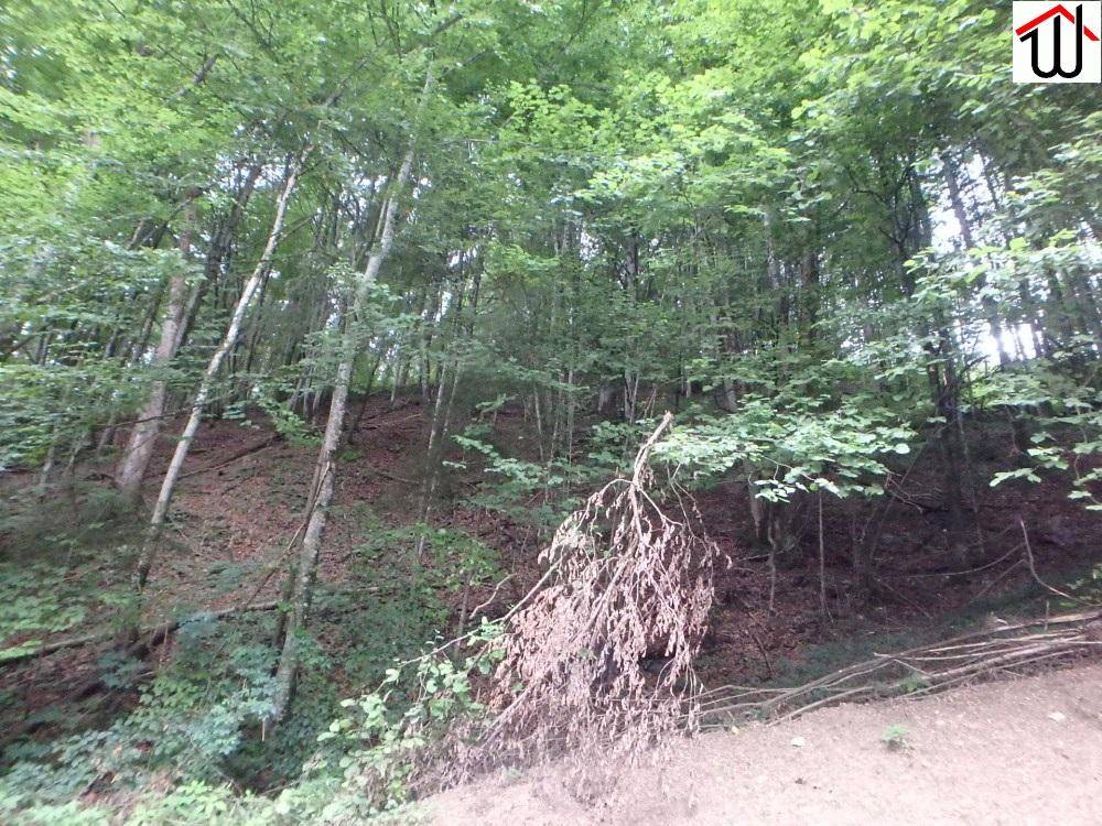 Terreno en St. Polten, Austria 142192 m² No. 216631