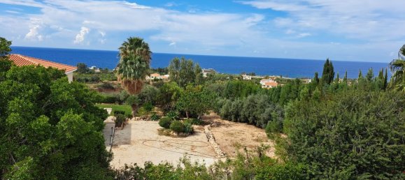 3 غرف نوم عقار تجاري في Paphos, Cyprus رقم 9786 19