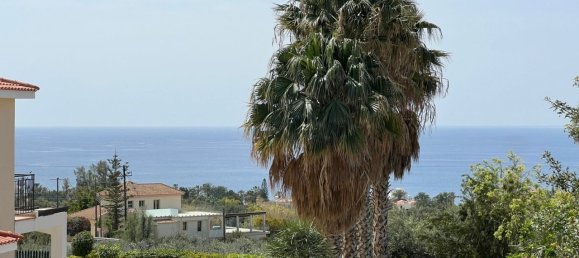 3 غرف نوم عقار تجاري في Paphos, Cyprus رقم 9786 5