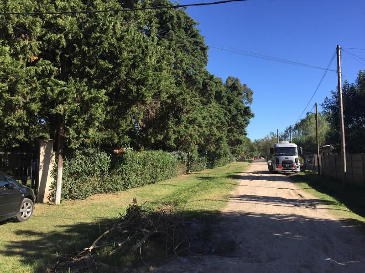 Terrain à Campo Creado, Argentina No. 50806