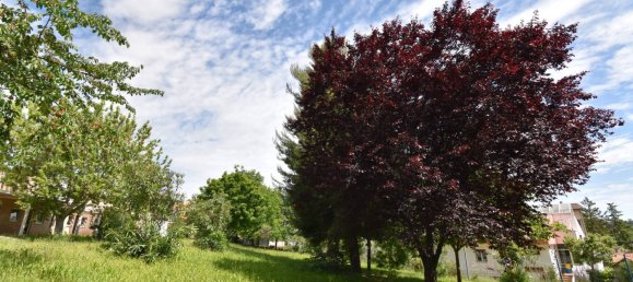 3 bedrooms Apartment in Monsampolo del Tronto, Italy No. 356528 12