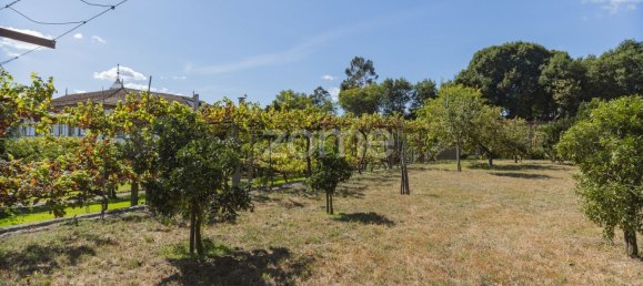 Casa de 7 dormitorios en Felgueiras, Portugal No. 50167 24