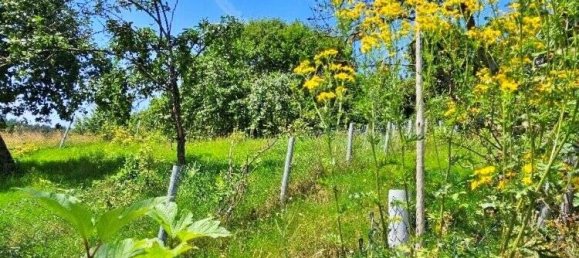 Casa de 6 dormitorios en Odenwaldkreis, Germany No. 44525 22