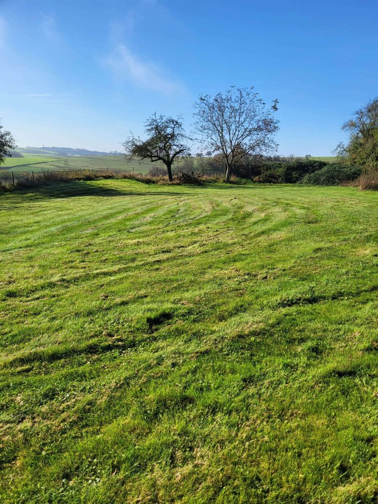 Grundstück in Saarpfalz, Germany, Nr. 71886