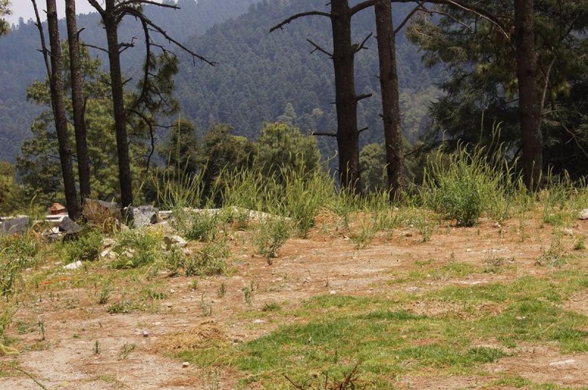  قطعة أرض في Lerma, Mexico رقم 206145